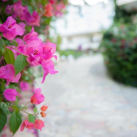 Bougainville Bay Apartments ซารานเดอ ภายนอก รูปภาพ