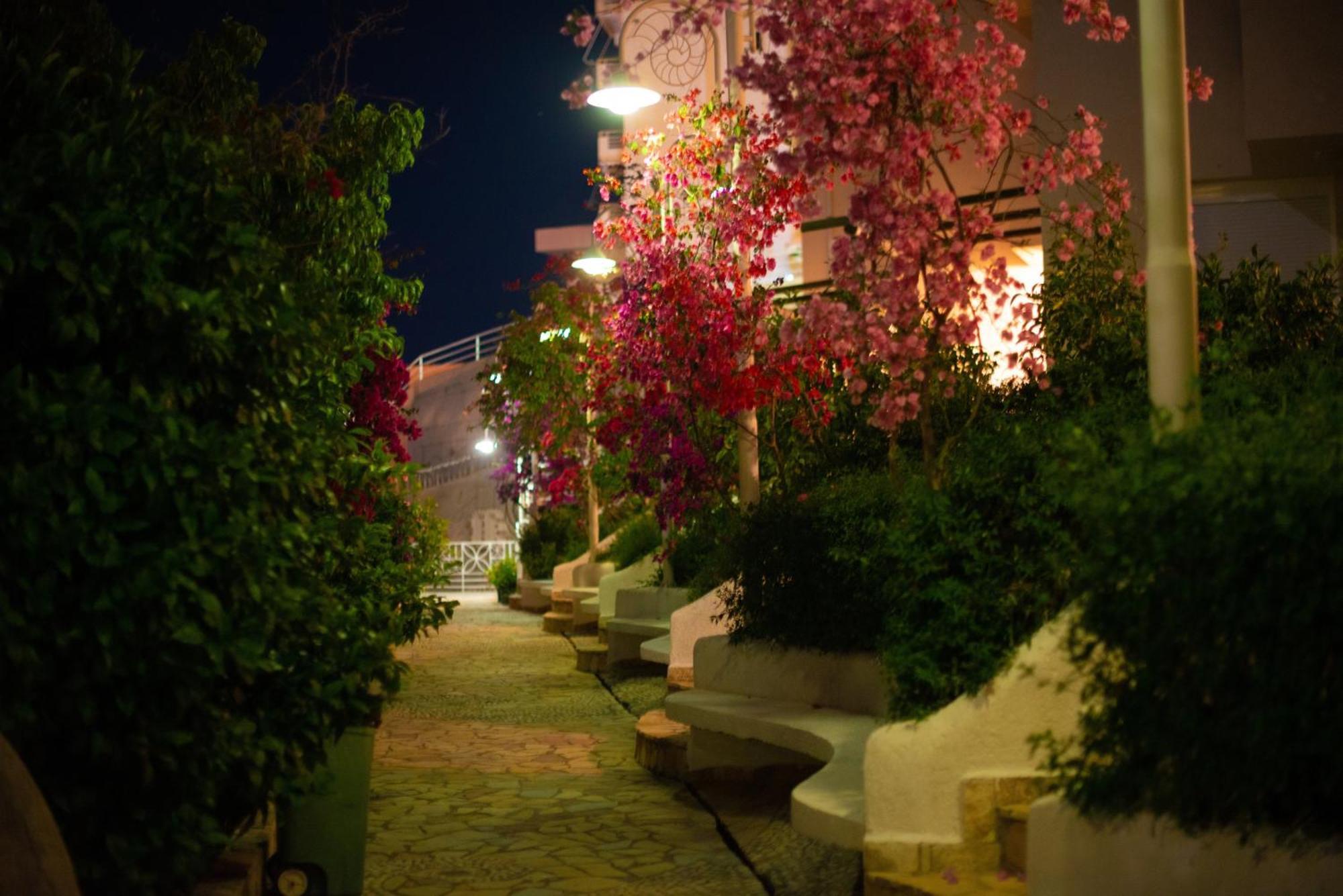 Bougainville Bay Apartments ซารานเดอ ภายนอก รูปภาพ